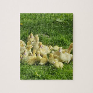 Puzzle oiseau, canard, canard, jaune, nature, mignonette,