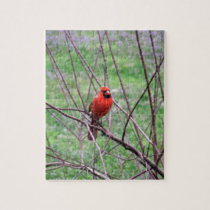 Puzzle Oiseau cardinal rouge assis sur la branche