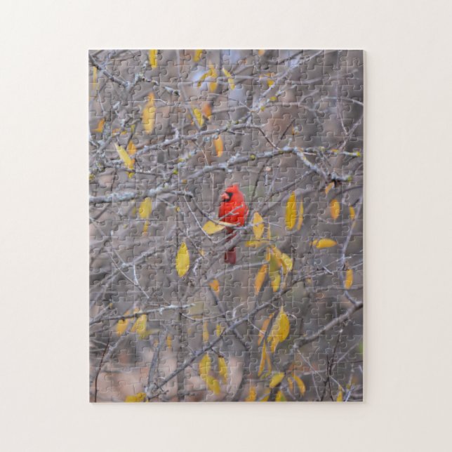 Puzzle Oiseau cardinal rouge en automne Saison Arbre Natu (Vertical)