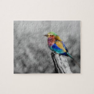 Puzzle Oiseau d'arc-en-ciel