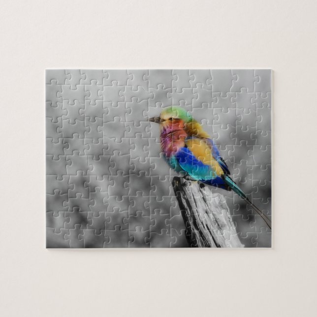 Puzzle Oiseau d'arc-en-ciel (Horizontal)
