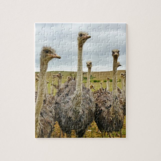 Puzzle Oiseau d'autruche (Vertical)