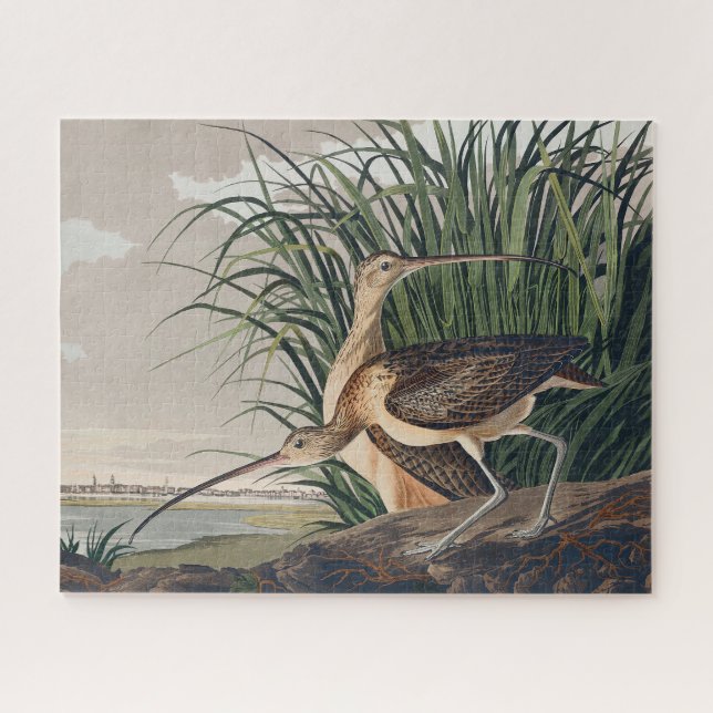 Puzzle Oiseau de Courlis à long bec Audubon (Horizontal)