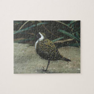 Puzzle Oiseau de Hawk
