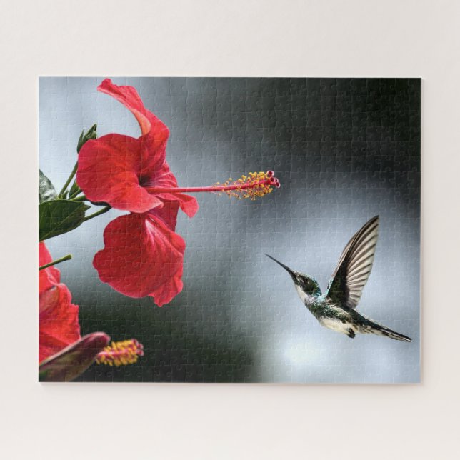 Puzzle Oiseau de Humming et Fleur Rouge (Horizontal)