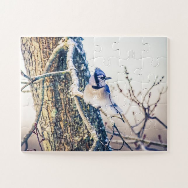 Puzzle Oiseau de Jay bleu surdimensionné (Horizontal)
