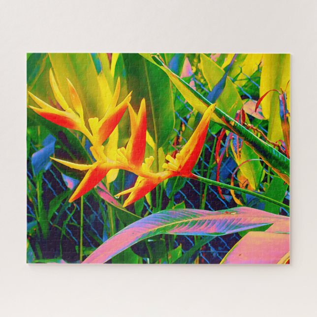 Puzzle Oiseau de Paradis fleur tropicale défi (Horizontal)