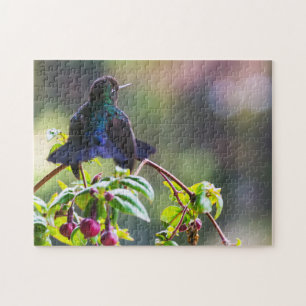 Puzzle Oiseau du Costa Rica - Colibri