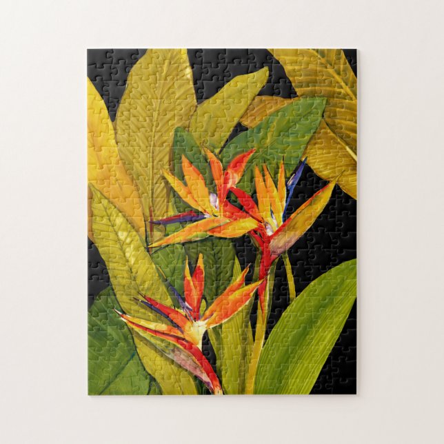 Puzzle Oiseau du Paradis (Vertical)