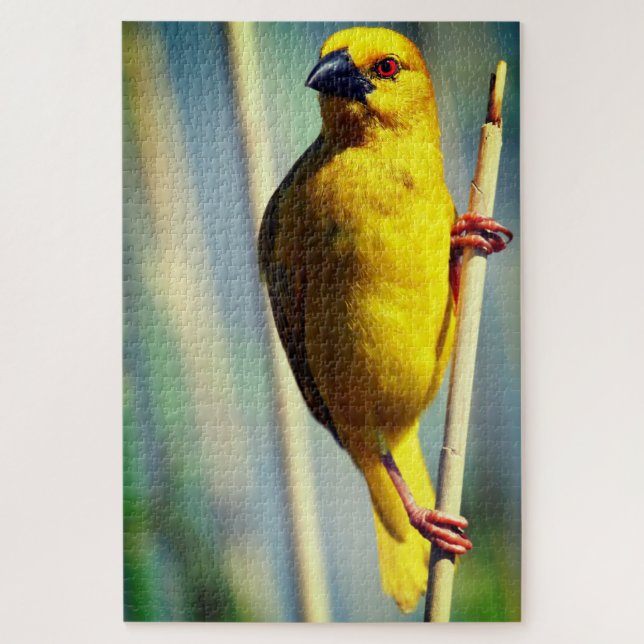 Puzzle Oiseau jaune (Vertical)