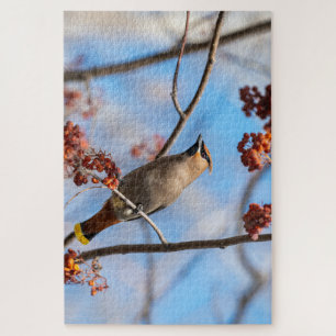 Puzzle Oiseau Majestic, cire de Bohême canadienne
