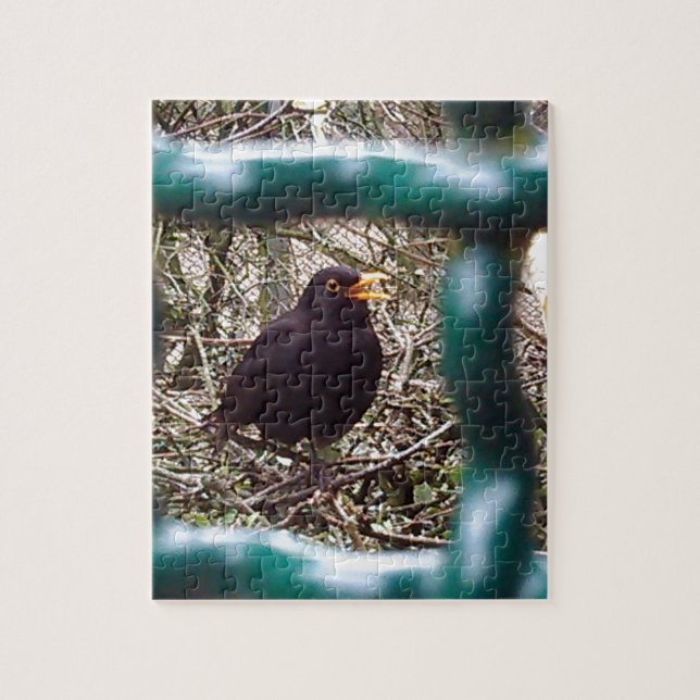 Puzzle Oiseau noir derrière les barreaux, Animal, Oiseaux (Vertical)