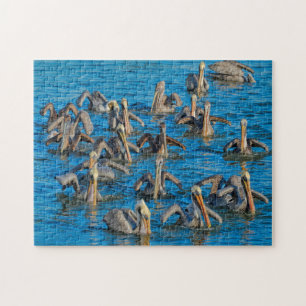 Puzzle Oiseau Pélican Floride.