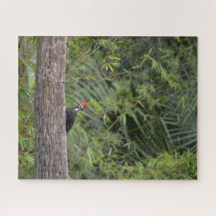 Puzzle Oiseau Pic Nature Faune Cute Animal Photo