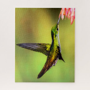 Puzzle Oiseau rose de colibri