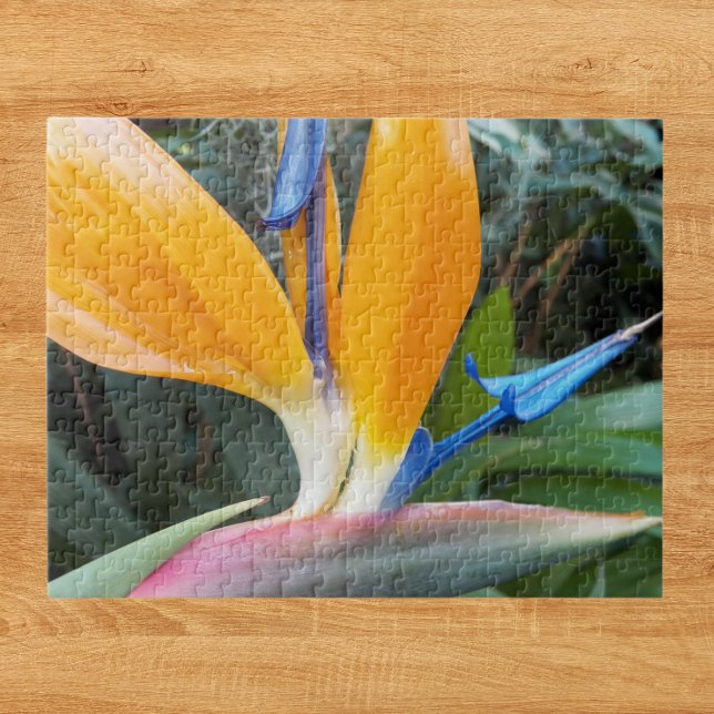 Puzzle Oiseau tropical du Paradis Plante Floral (In Situ)