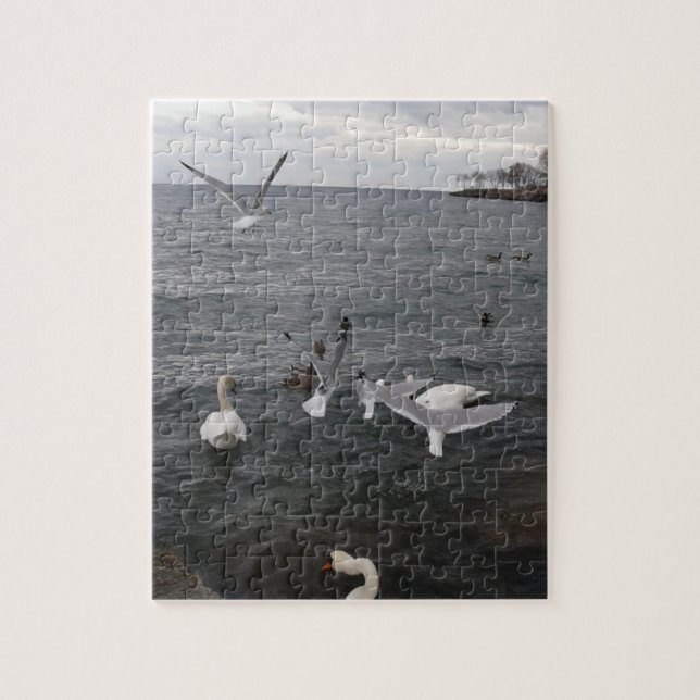 Puzzle Oiseaux aquatiques du lac Ontario (Vertical)