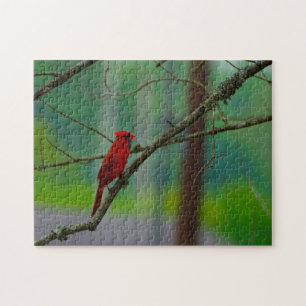 Puzzle Oiseaux cardinaux.