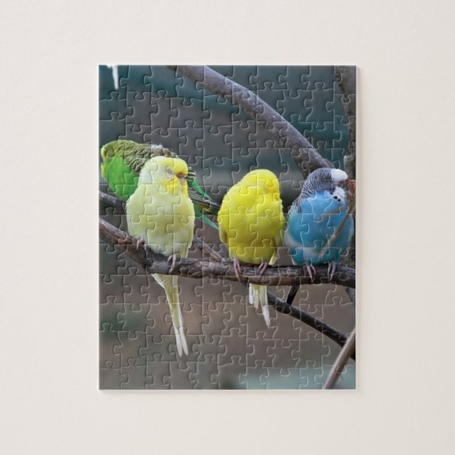 Puzzle Oiseaux colorés lumineux de perroquets de (Vertical)