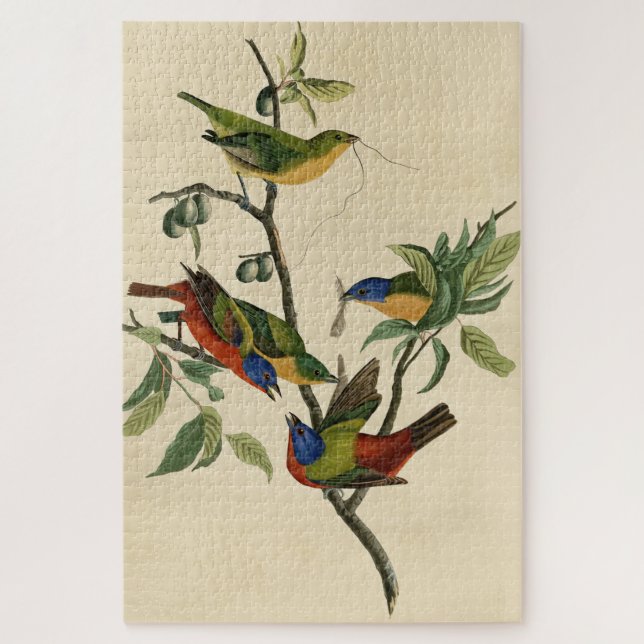 Puzzle Oiseaux d'Amérique d'Audubon (Vertical)