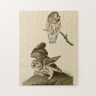 Puzzle Oiseaux d'Amérique d'Audubon