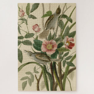 Puzzle Oiseaux d'Amérique d'Audubon