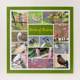 Puzzle Oiseaux de Boston Photo Collage