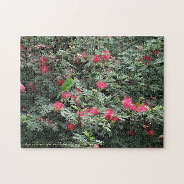 Puzzle Oiseaux de feuilles dorés Fleurs roses Photo Natur (Horizontal)