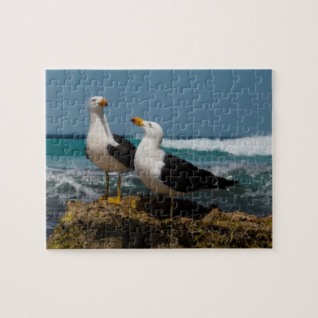 Puzzle Oiseaux de goélands du Pacifique Australie Océan,  (Horizontal)