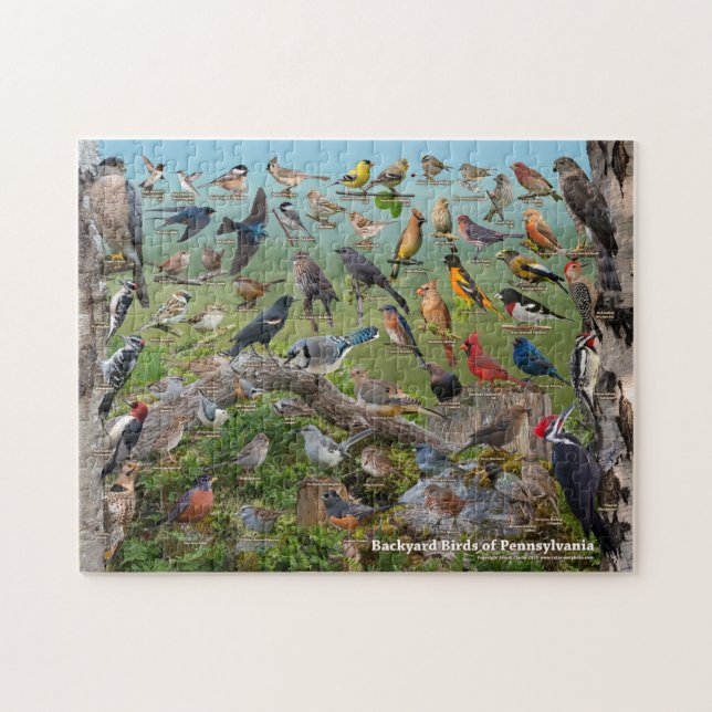 Puzzle Oiseaux de jardin de Pennsylvanie (Horizontal)