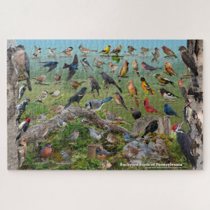 Puzzle Oiseaux de jardin de Pennsylvanie