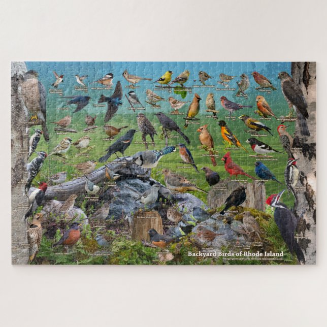 Puzzle Oiseaux de jardin de Rhode Island (Horizontal)