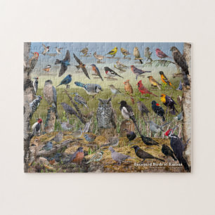 Puzzle Oiseaux de jardin du Kansas