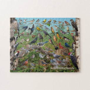 Puzzle Oiseaux de jardin du Kentucky