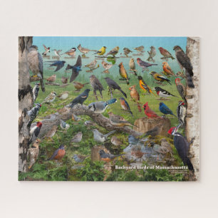 Puzzle Oiseaux de jardin du Massachusetts