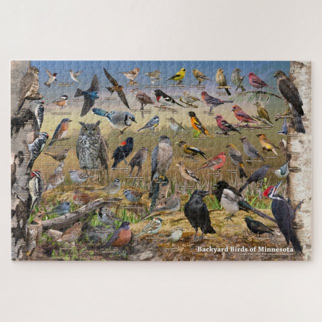 Puzzle Oiseaux de jardin du Minnesota (Horizontal)