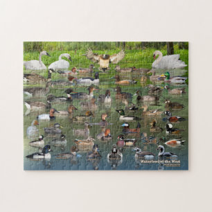 Puzzle Oiseaux de l'Ouest