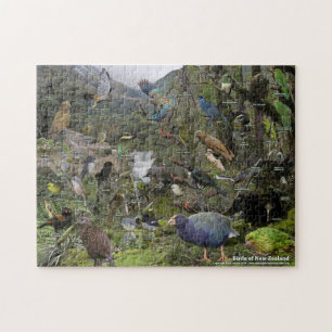 Puzzle Oiseaux de Nouvelle-Zélande