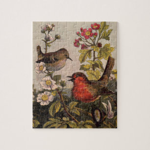 Puzzle Oiseaux de printemps Robin Oiseaux rouges