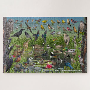 Puzzle Oiseaux des zones humides d'eau douce