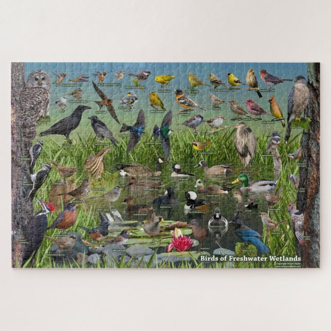 Puzzle Oiseaux des zones humides d'eau douce (Horizontal)