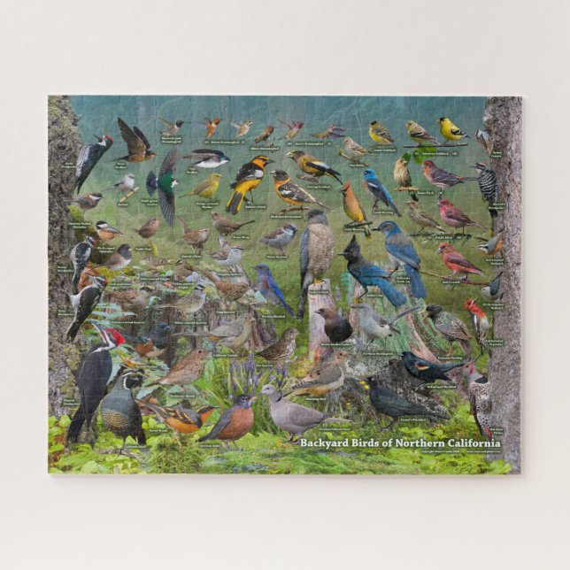 Puzzle Oiseaux Jardins de Californie du Nord (Horizontal)