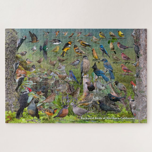 Puzzle Oiseaux Jardins de Californie du Nord (Horizontal)