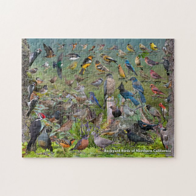 Puzzle Oiseaux jardins de Californie du Nord (Horizontal)