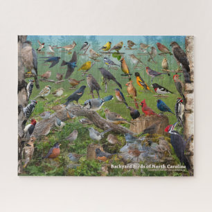 Puzzle Oiseaux Jardins de Caroline du Nord