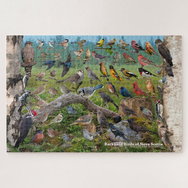 Puzzle Oiseaux jardins de la Nouvelle-Écosse (Horizontal)