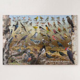 Puzzle Oiseaux jardins de l'Alberta