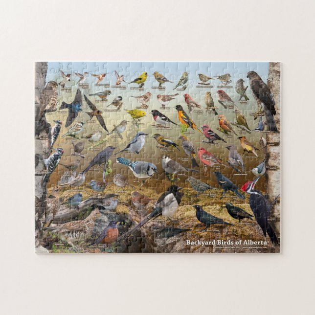 Puzzle Oiseaux jardins de l'Alberta (Horizontal)