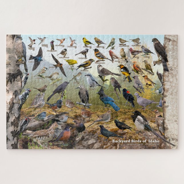 Puzzle Oiseaux jardins de l'Idaho (Horizontal)
