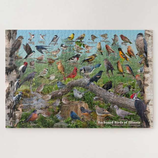 Puzzle Oiseaux Jardins de l'Illinois (Horizontal)